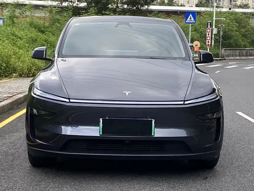 Tesla Model Y — миниатюра 2