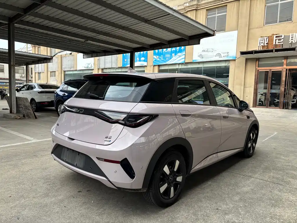 BYD Dolphin 2025 Smart Drive 410km Fashion