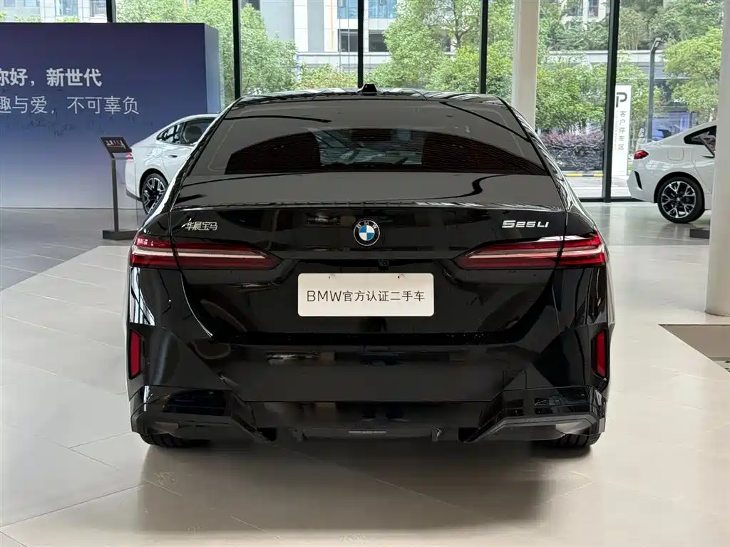 BMW 5 Series — миниатюра 15
