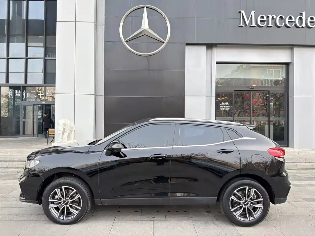 WEI PAI WEI BRAND VV5