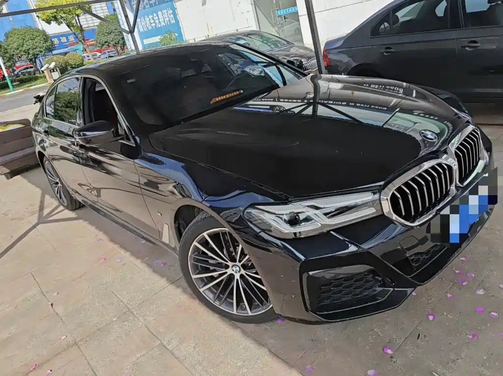 BMW 5 Series — миниатюра 5