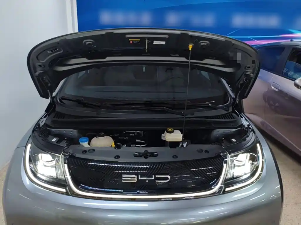 BYD Dolphin — миниатюра 20