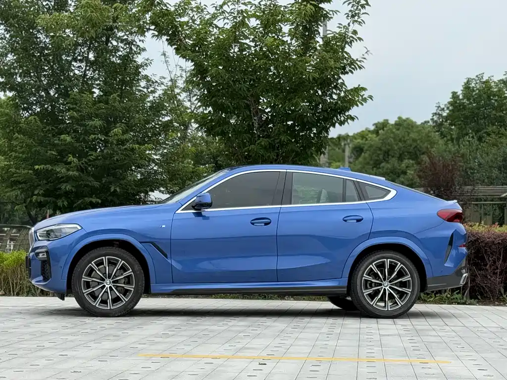 BMW X6 2020 xDrive40i M Sport