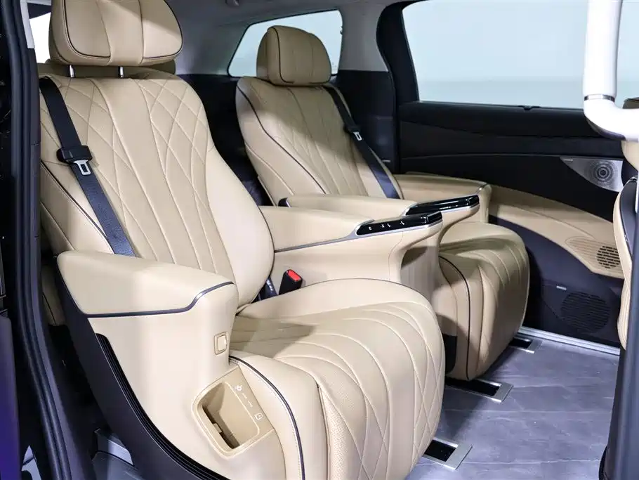 Denza Denza D9 — миниатюра 6