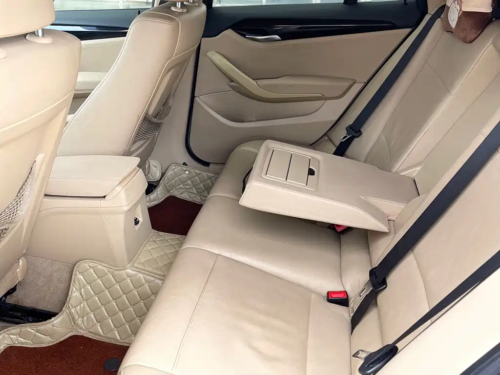 BMW X1 (Import) sDrive18i Luxury Type, фото 6