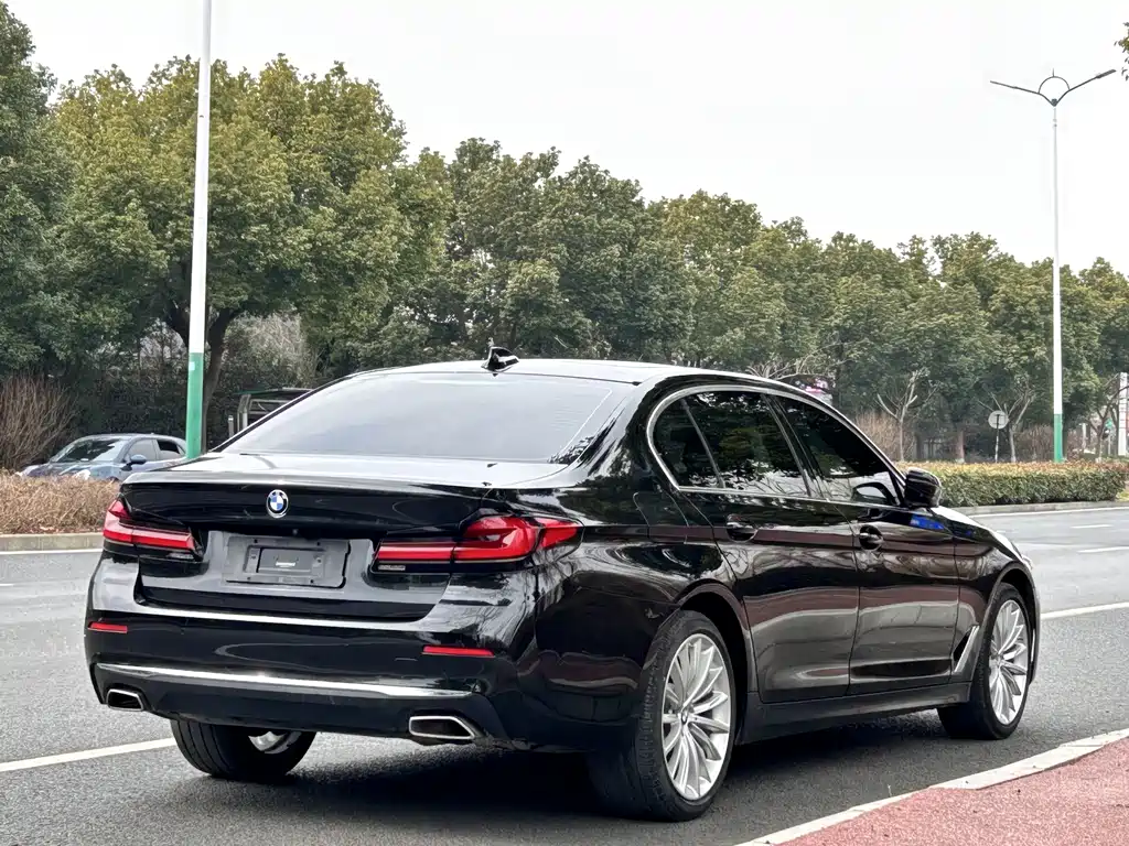 BMW 5 Series 5 2021 530Li Premium Luxury