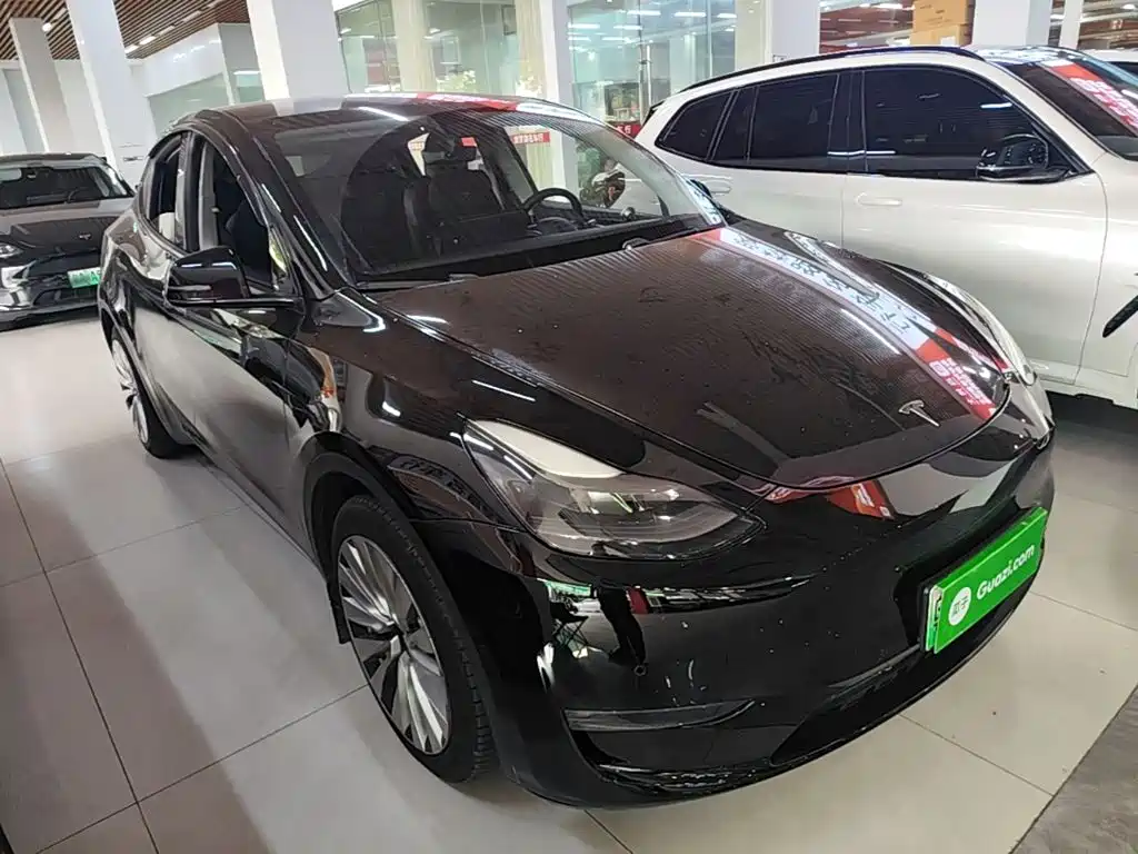 Tesla Model Y — миниатюра 4