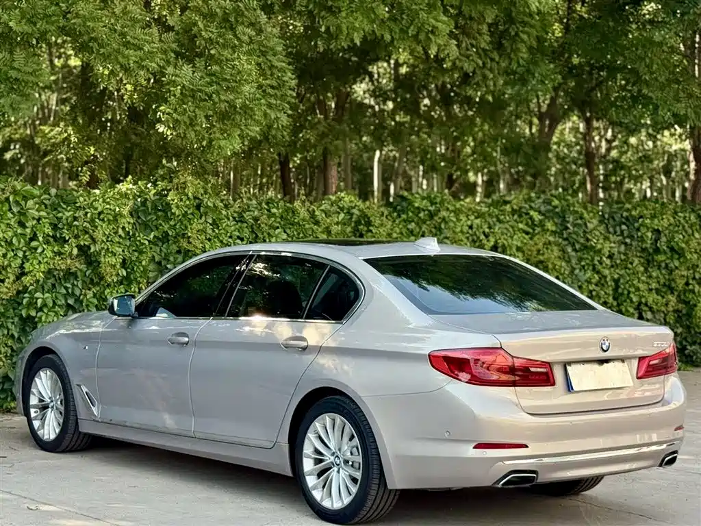 BMW 5 Series 5 2019 530Li Premium Luxury