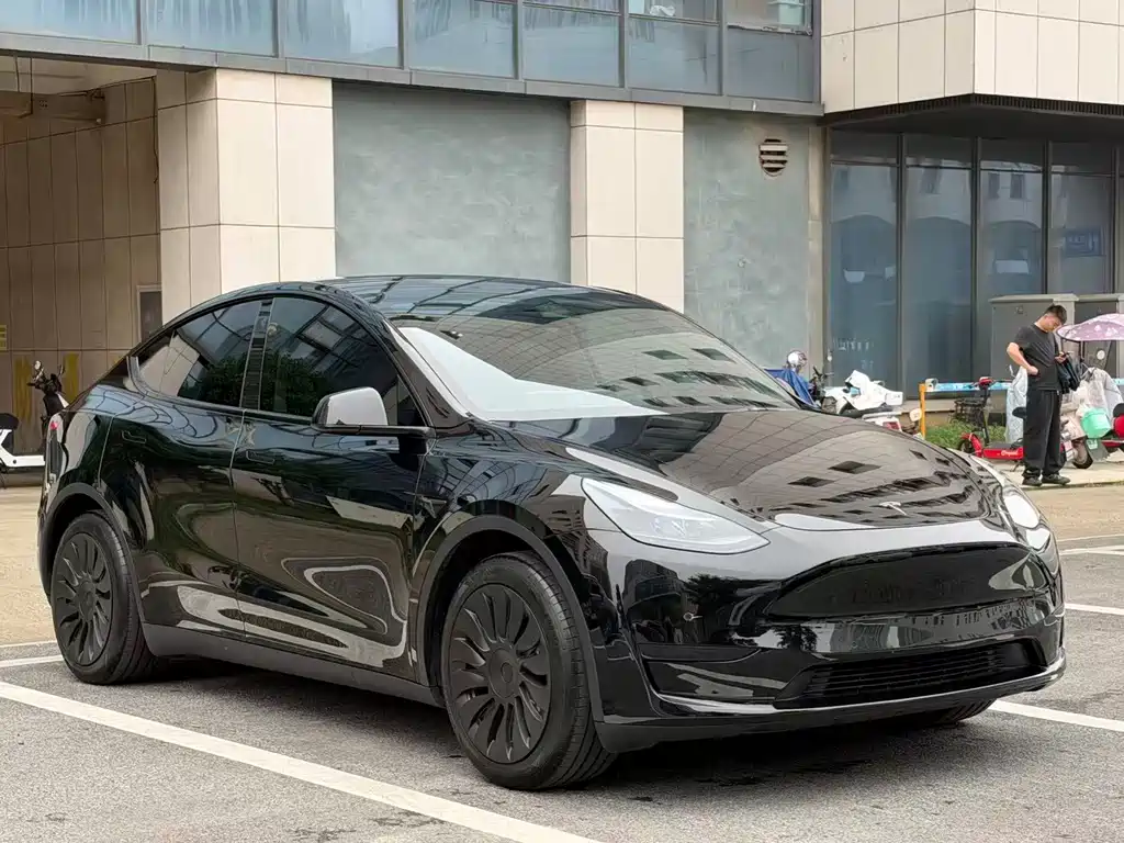 Tesla Model Y — миниатюра 8