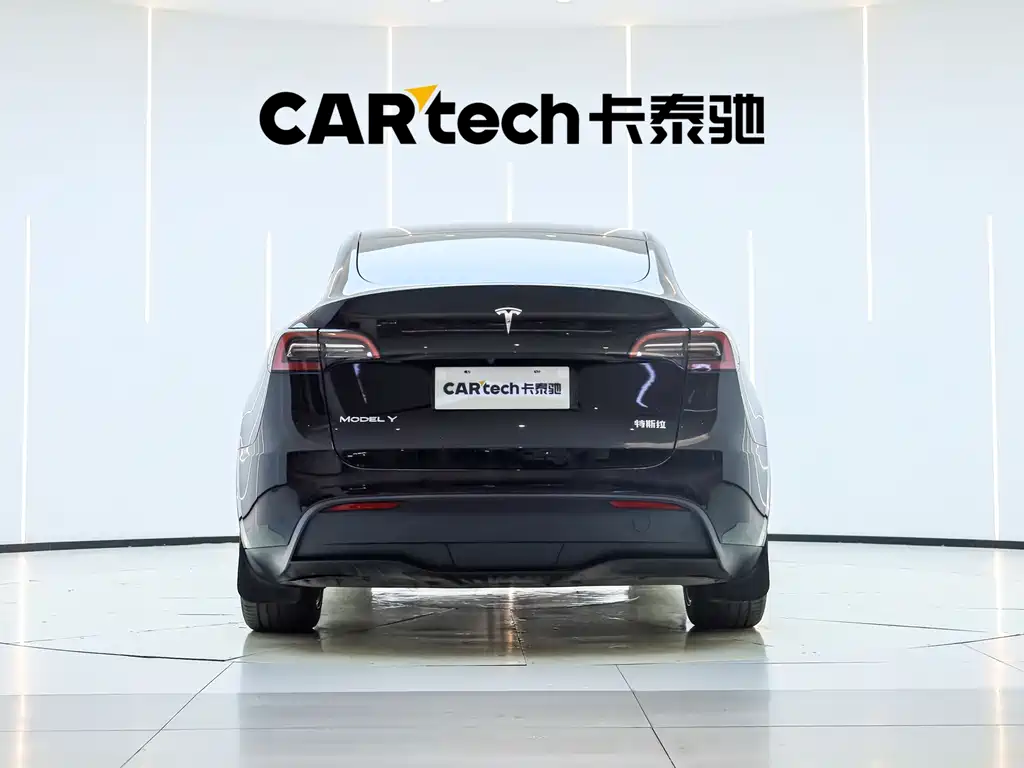 Tesla Model Y — миниатюра 6