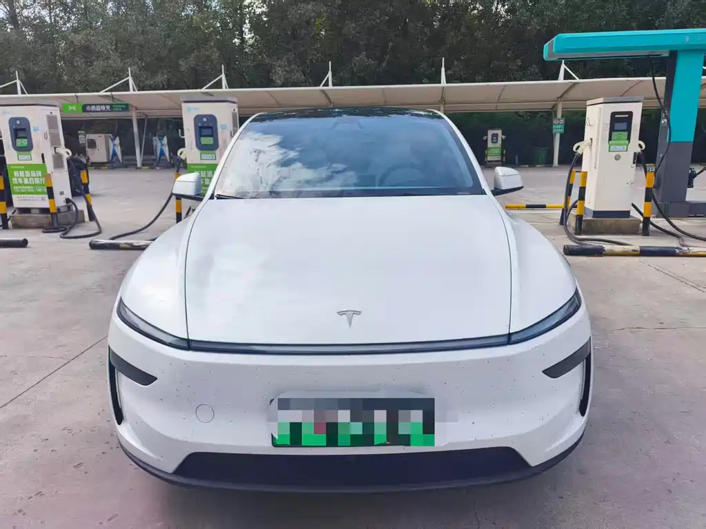 Tesla Model Y — миниатюра 2