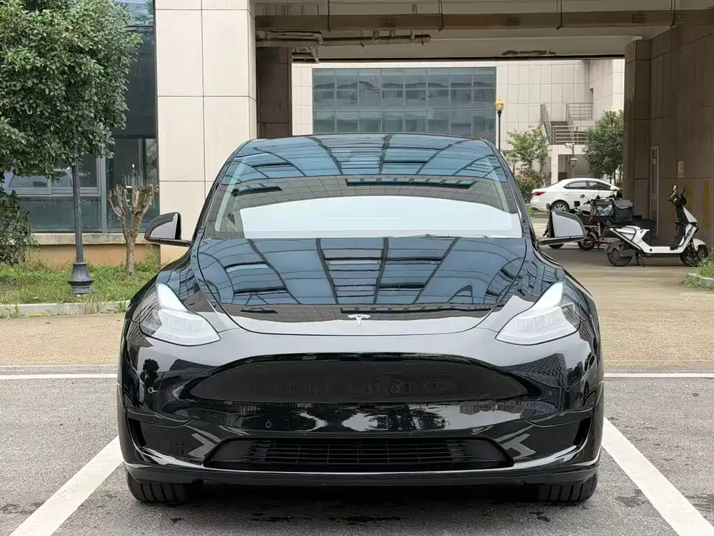 Tesla Model Y — миниатюра 2