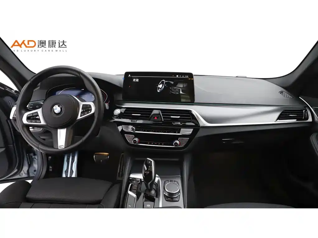 BMW 5 Series (Import) — миниатюра 5