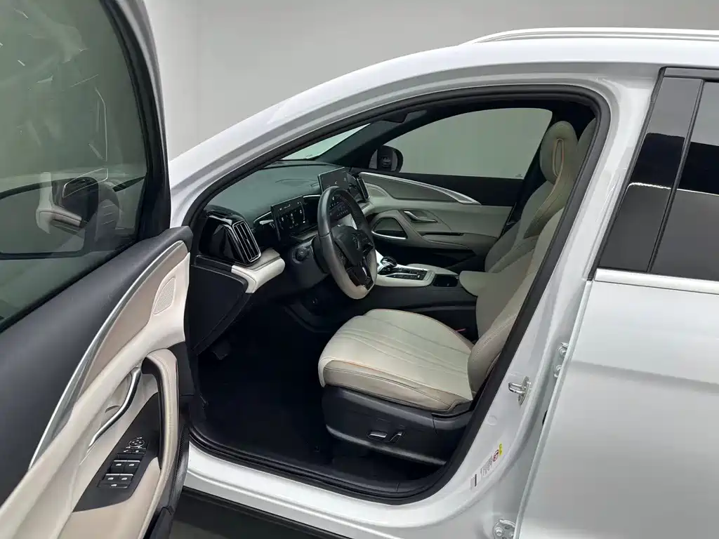 BYD Pro New Energy — миниатюра 5