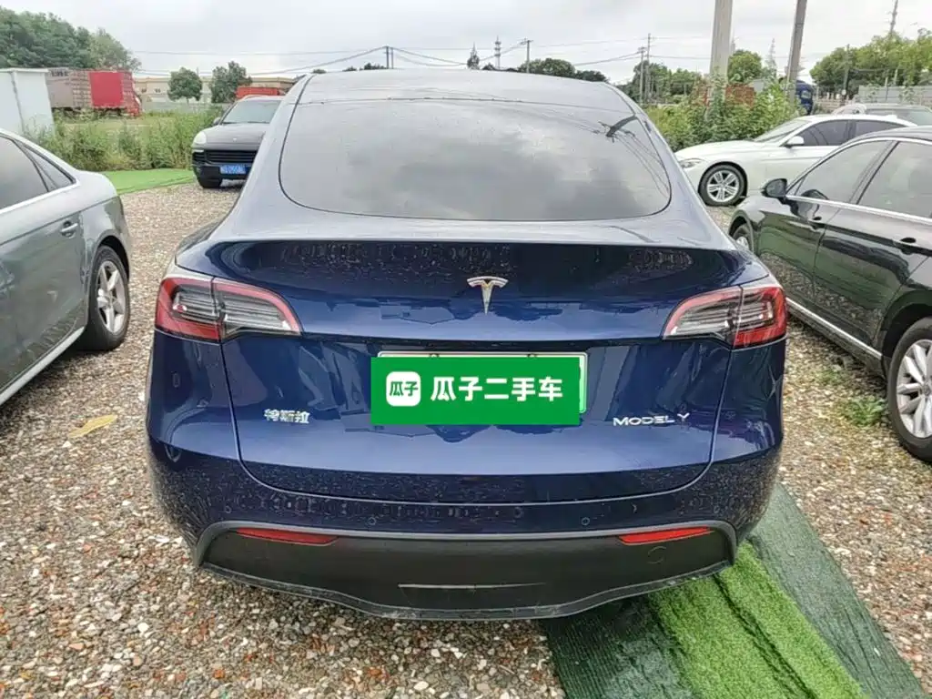 Tesla Model Y — миниатюра 6