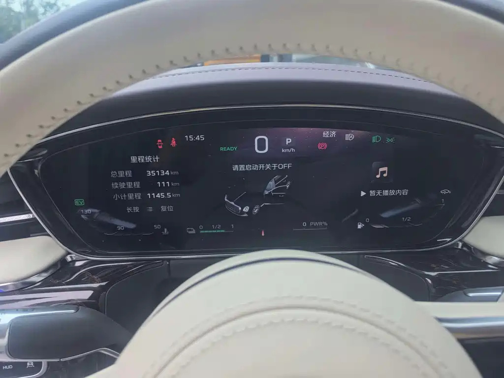 Hongqi Hongqi Golden Sunflower Guoya — миниатюра 5