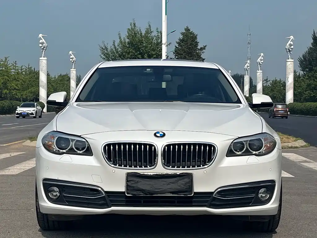 BMW 5 Series — миниатюра 2