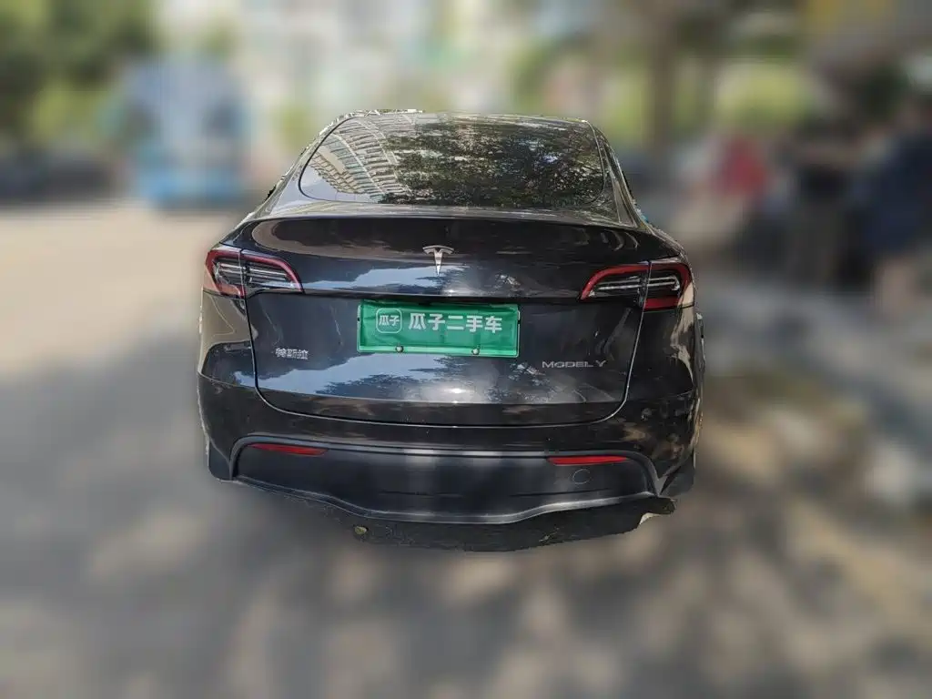 Tesla Model Y — миниатюра 3