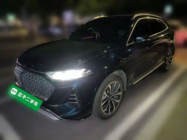 WEI PAI WEI BRAND MOCHA 2022