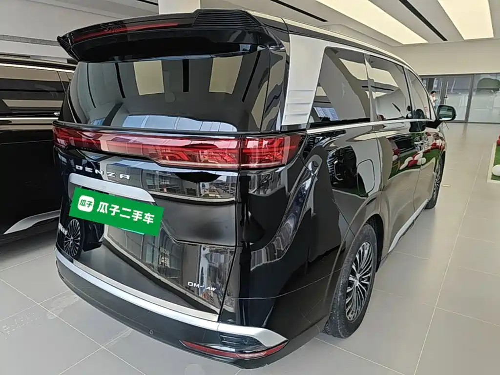 Denza Denza D9 — миниатюра 7