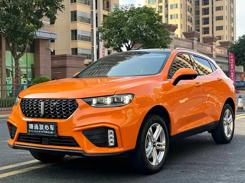 WEI PAI WEI BRAND VV5