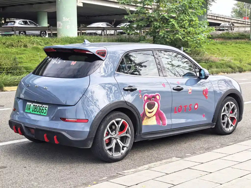 Ora Ora Good Cat GT — миниатюра 4