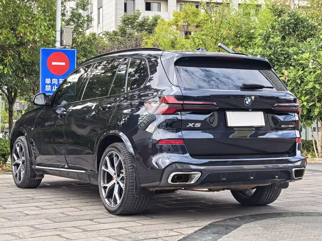 BMW X5 — миниатюра 4