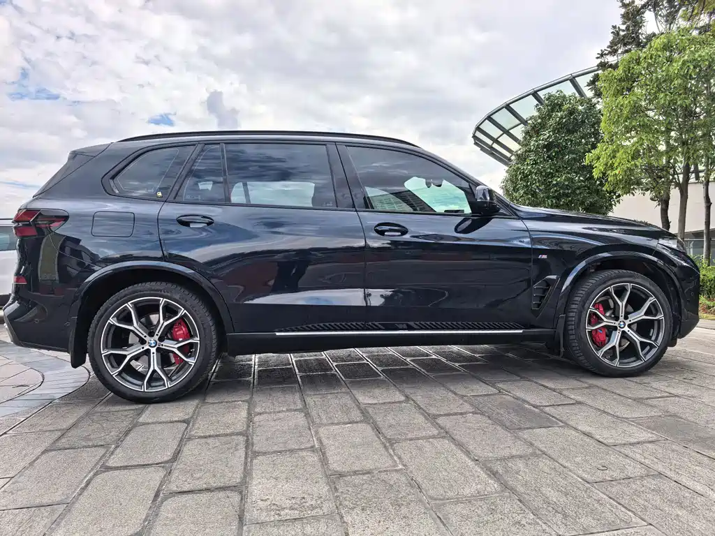 BMW X5 — миниатюра 25