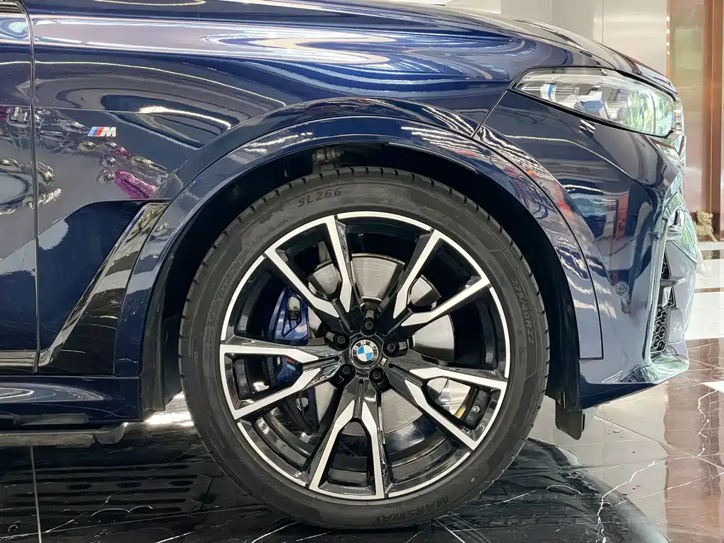BMW X7 — миниатюра 30