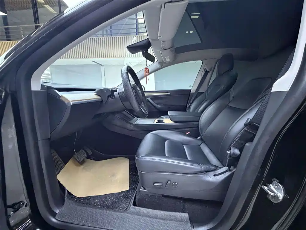 Tesla Model Y — миниатюра 4