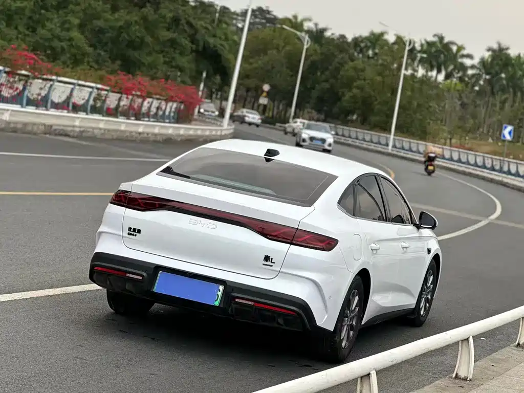 BYD QIN L