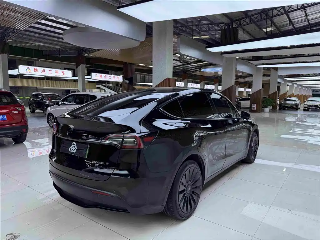 Tesla Model Y — миниатюра 9