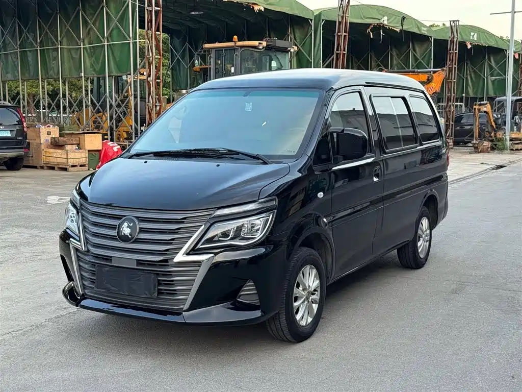 Fengxing Lingzhi 2024