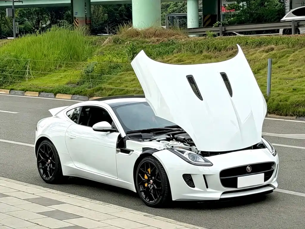 Jaguar F-TYPE — миниатюра 4
