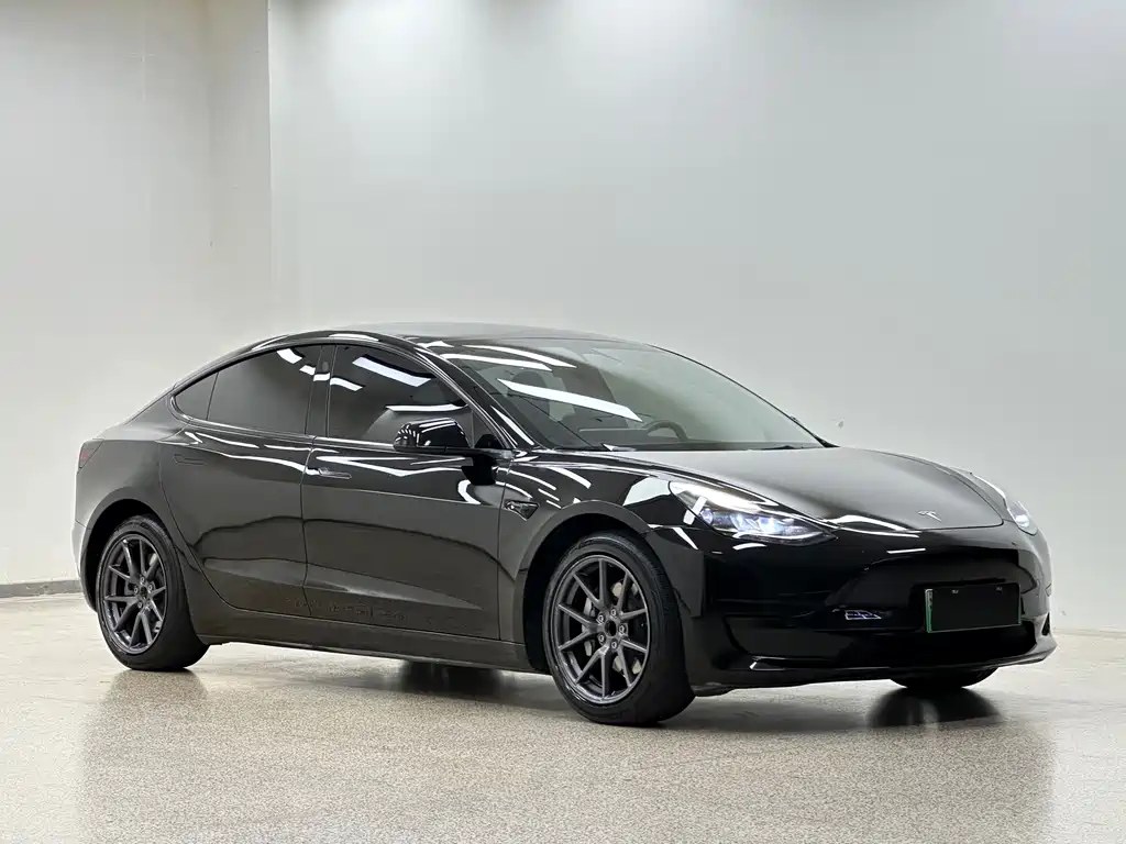Tesla Model 3 — миниатюра 3