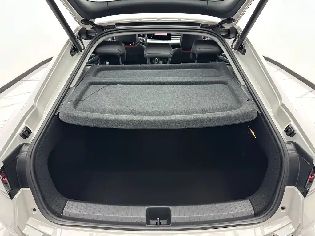 Volkswagen Lamando — миниатюра 18