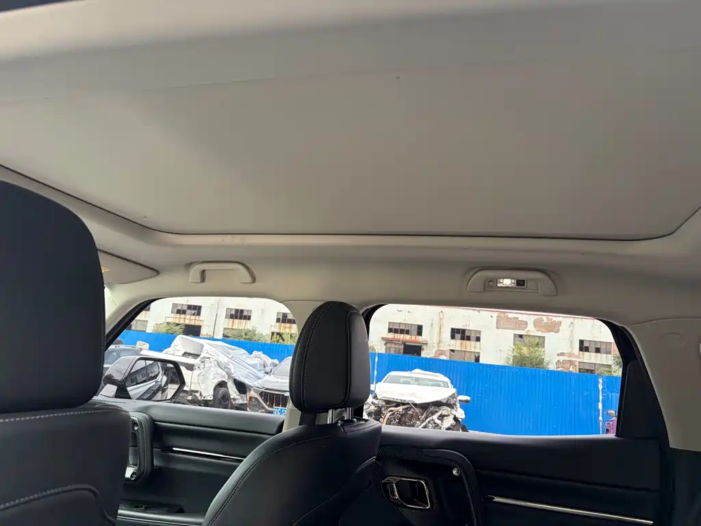 Haval Haval Big Dog PLUS — миниатюра 12