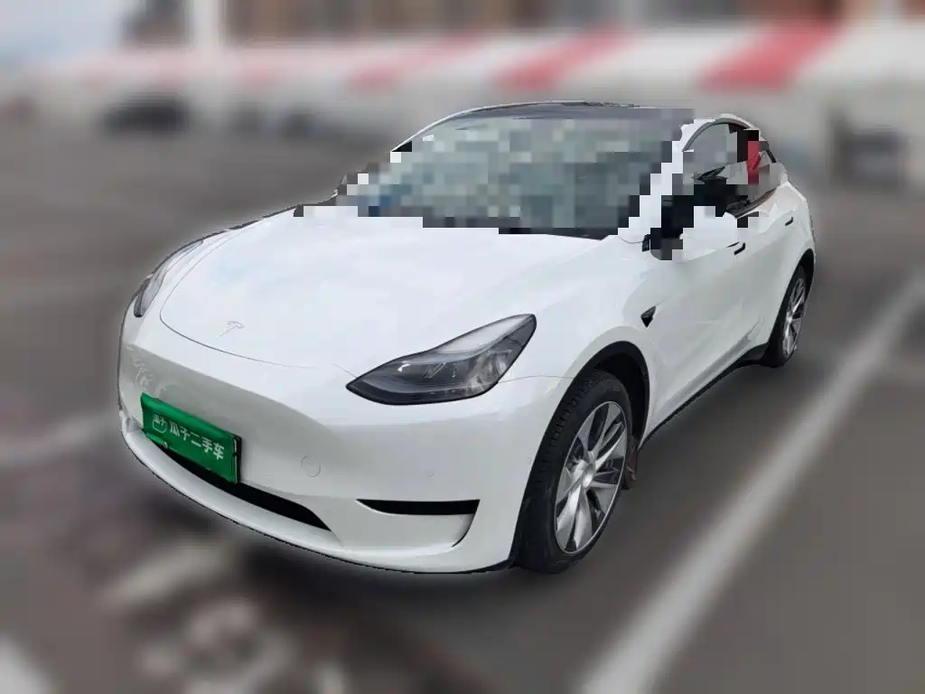 Tesla Model Y — миниатюра 2