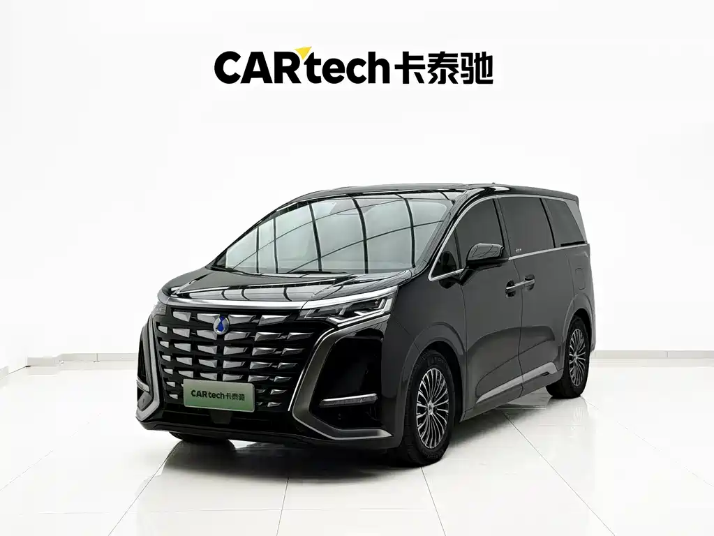 Denza Denza D9