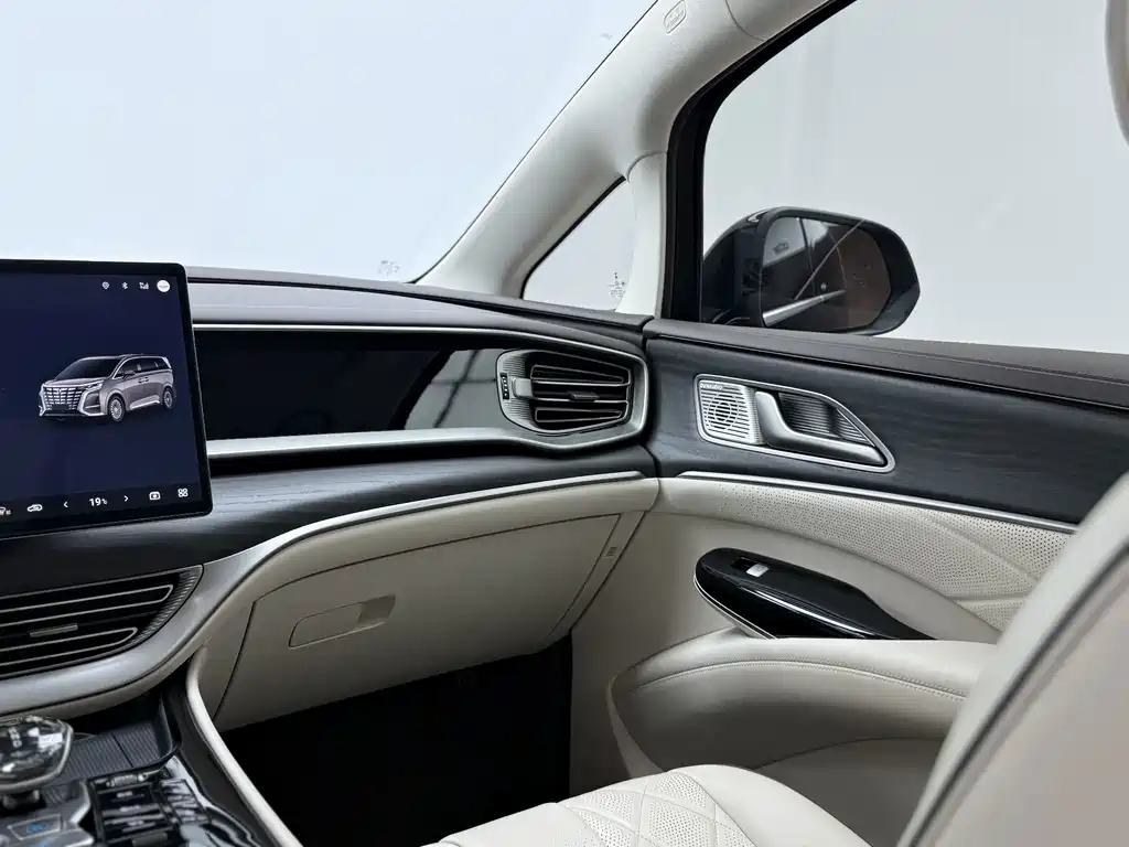 Denza Denza D9 — миниатюра 10