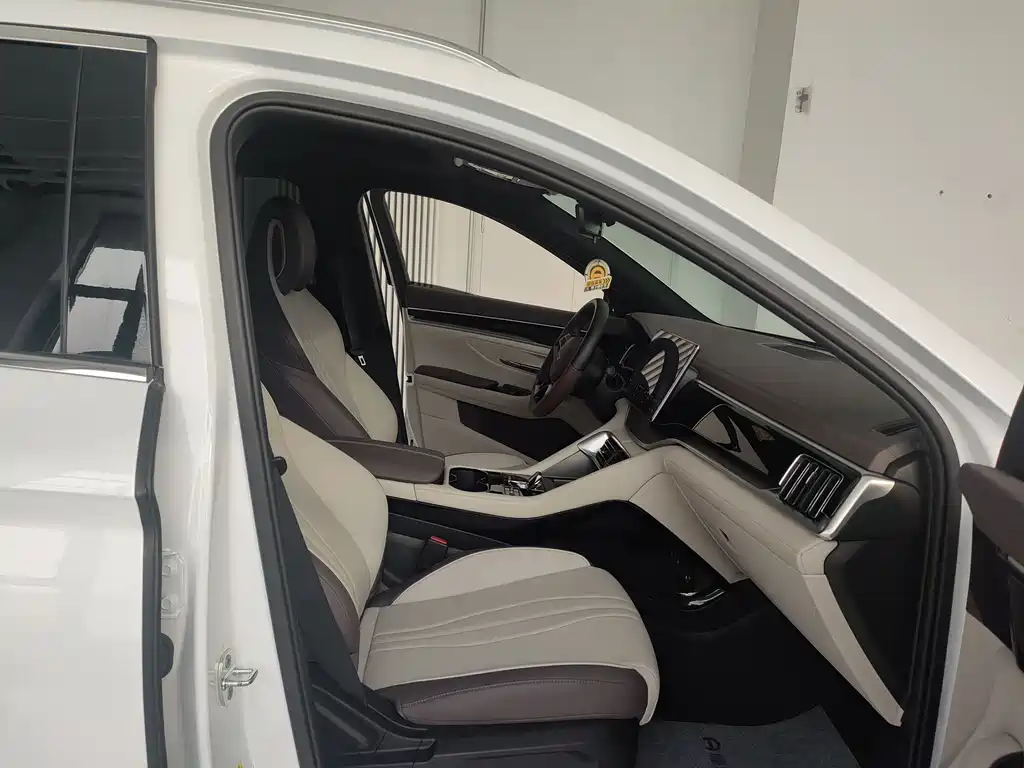 BYD SONGJIANG NEW ENERGY