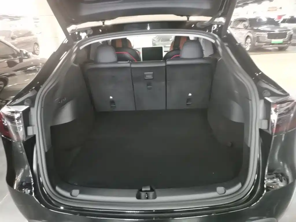 Tesla Model Y — миниатюра 19