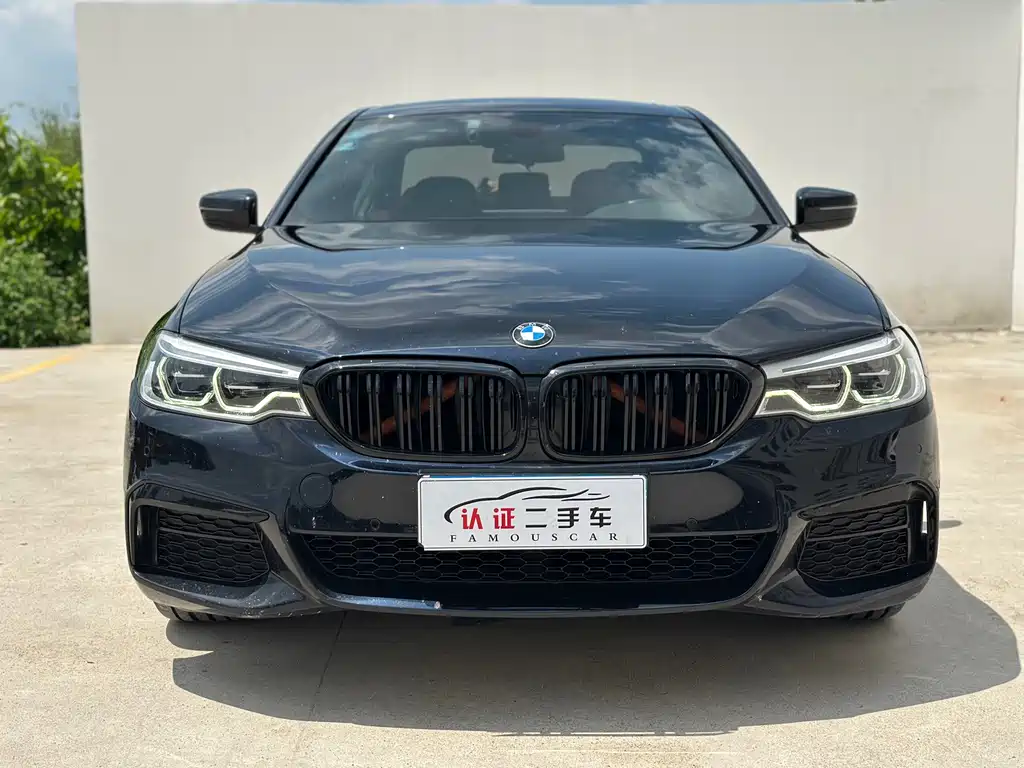 BMW 5 Series — миниатюра 2