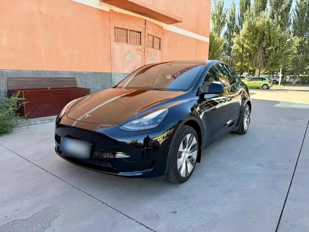Tesla Model Y — миниатюра 2