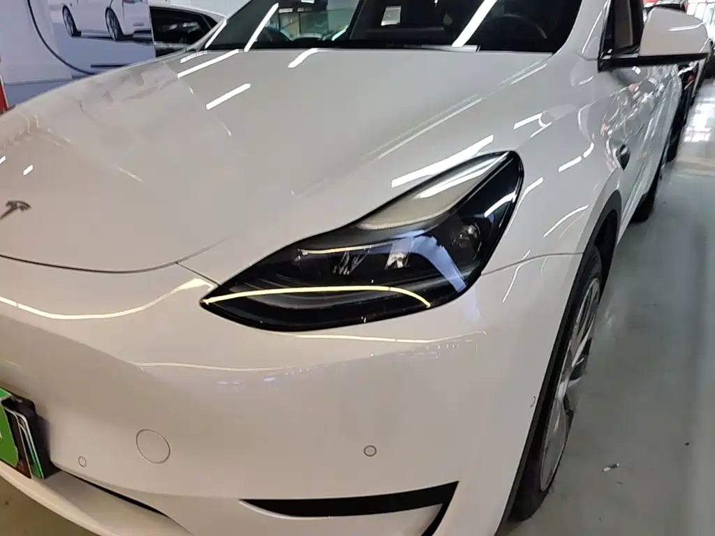 Tesla Model Y — миниатюра 24