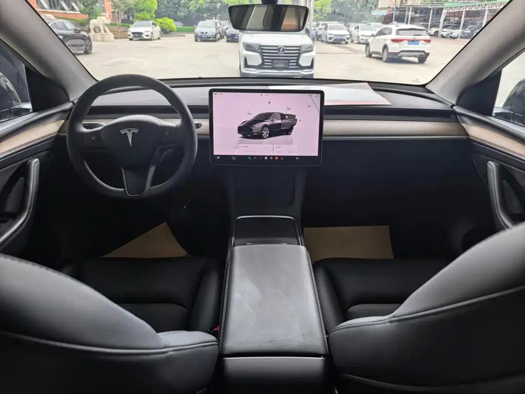 Tesla Model Y — миниатюра 10