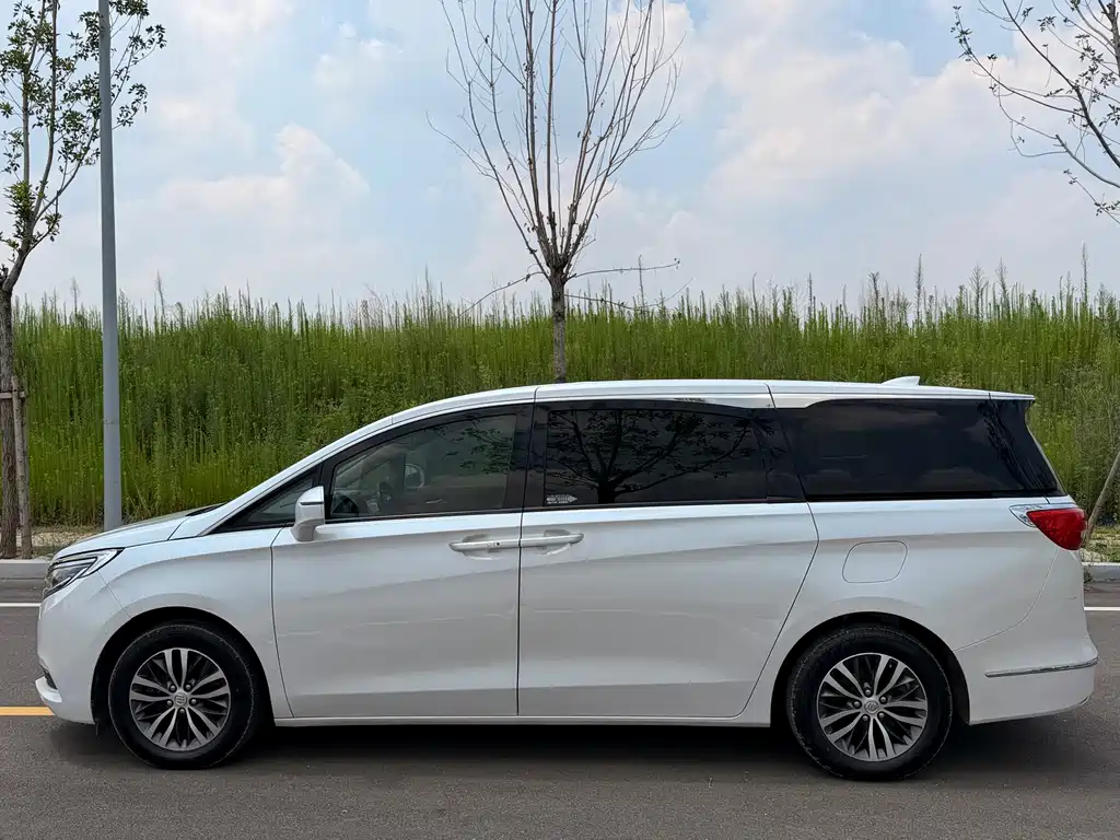 Buick GL8 ES 28T Luxury Type China VI, фото 8