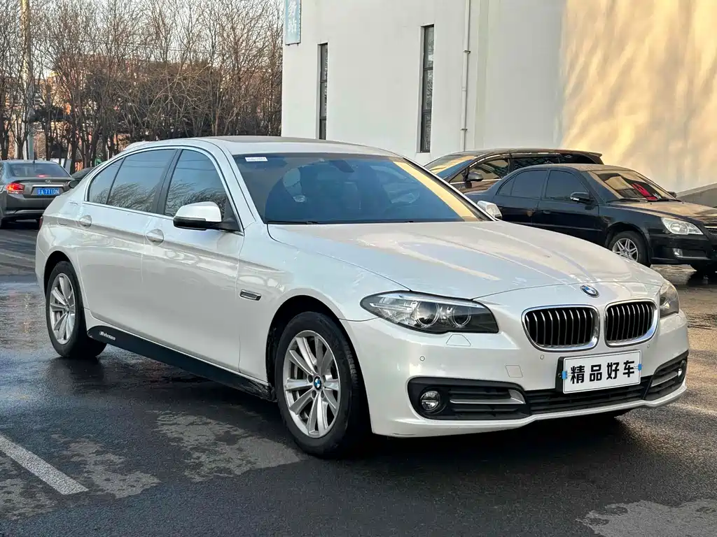 BMW 5 Series 520Li Elegant Type, фото 3
