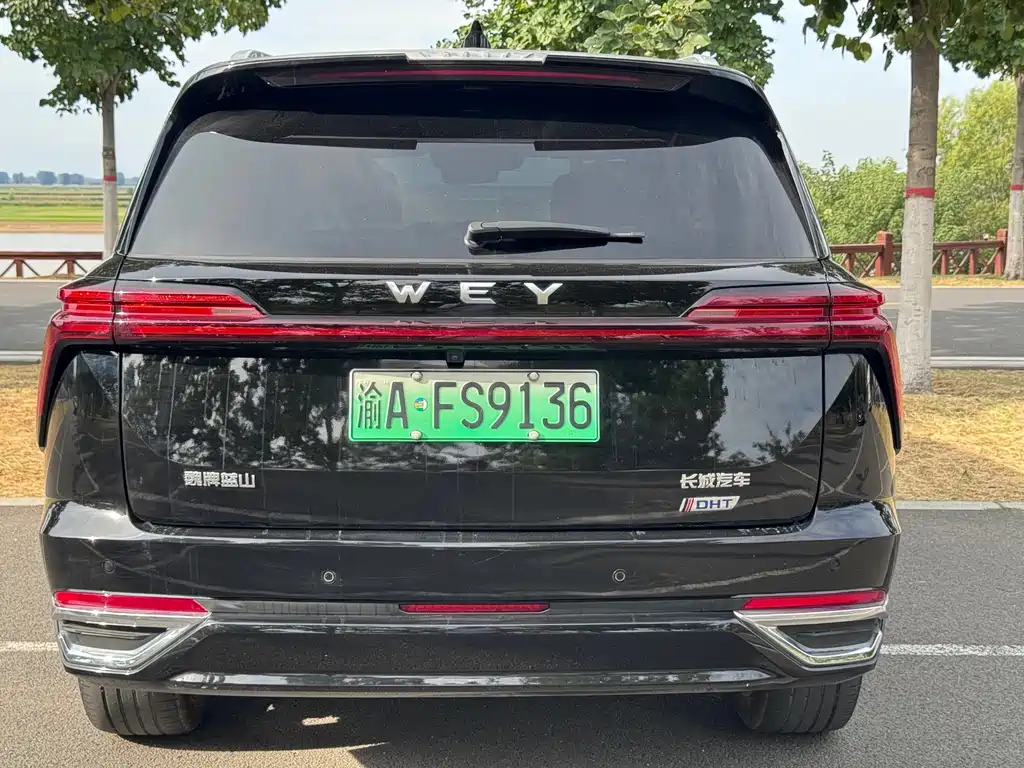 Wey Wey Lanshan — миниатюра 16