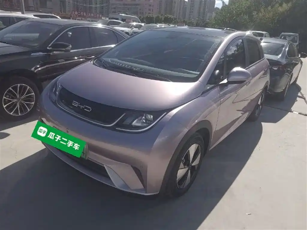 BYD DOLPHIN
